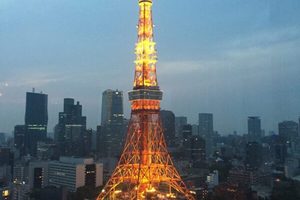 My Pole  Journey: Tokyo