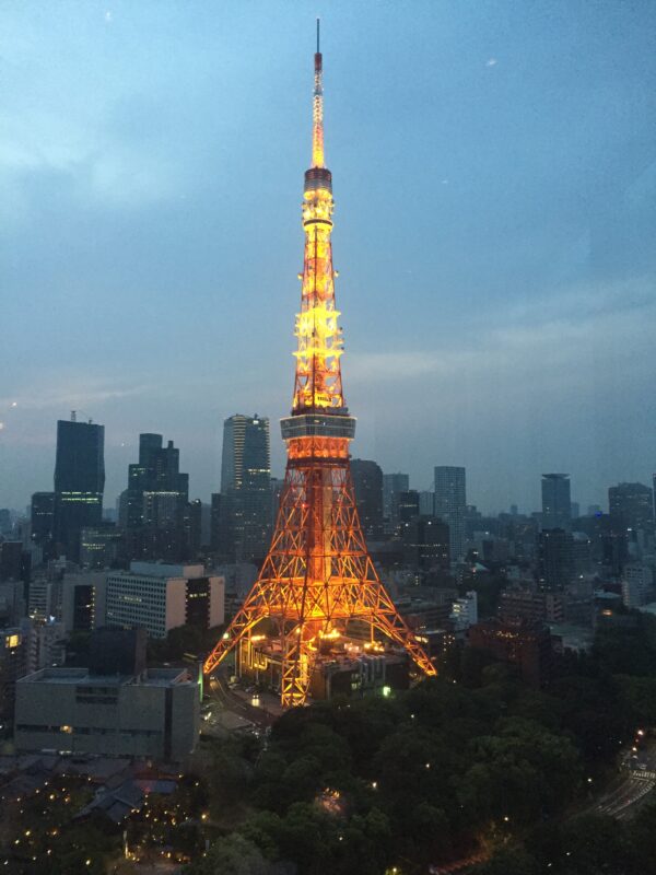 My Pole  Journey: Tokyo