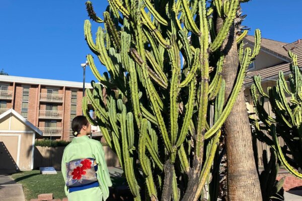 January 2023: My mind is set for the next competition