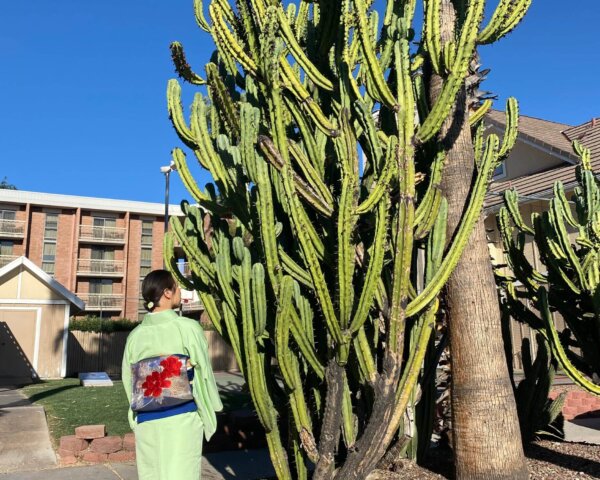 January 2023: My mind is set for the next competition